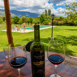 Quincho con asador y horno de barro con vistas a las montañas