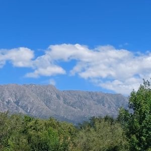 IMG-20240813-WA0019