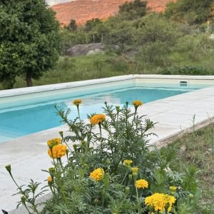 Pileta Privada en altura de 7x3 mts.