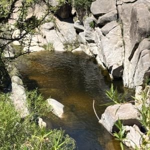 Rio de montaña